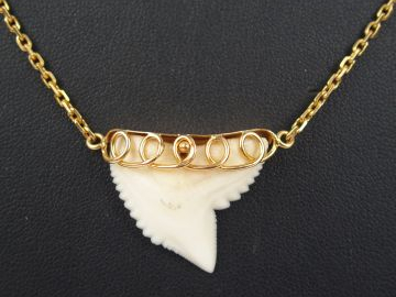 Dent de requin montée en pendentif, monture or jaune et chaîne or jaun