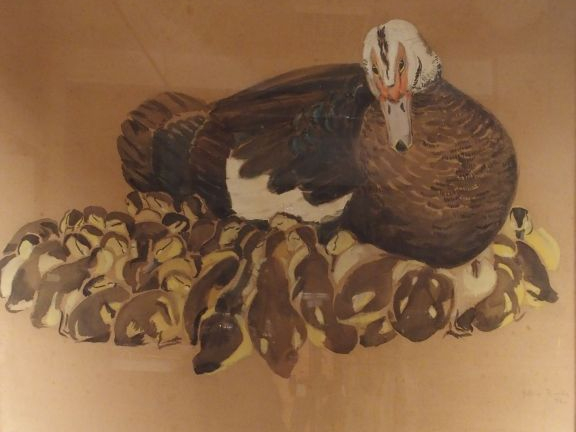 Hélène RIVIERE, " Canne et ses canetons ". Aquarelle, signée en bas à 