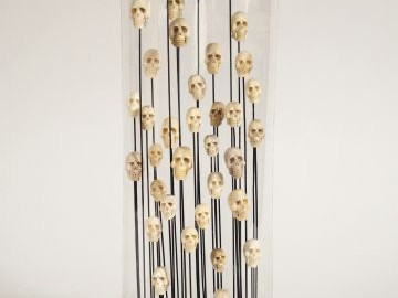 Sous son globe XIXe 'Memento mori'. Composition de têtes sculptées dan