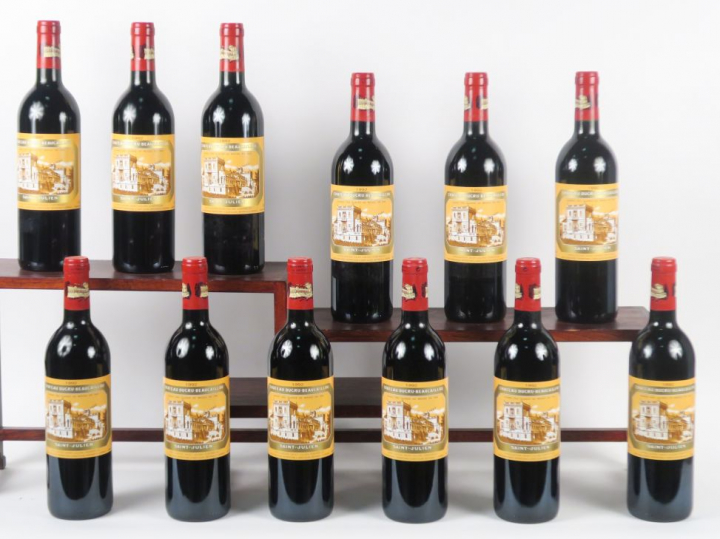 12 BOUTEILLES CHÂTEAU DUCRU BEAUCAILLOU GCC ST JULIEN - 1993 - CBO