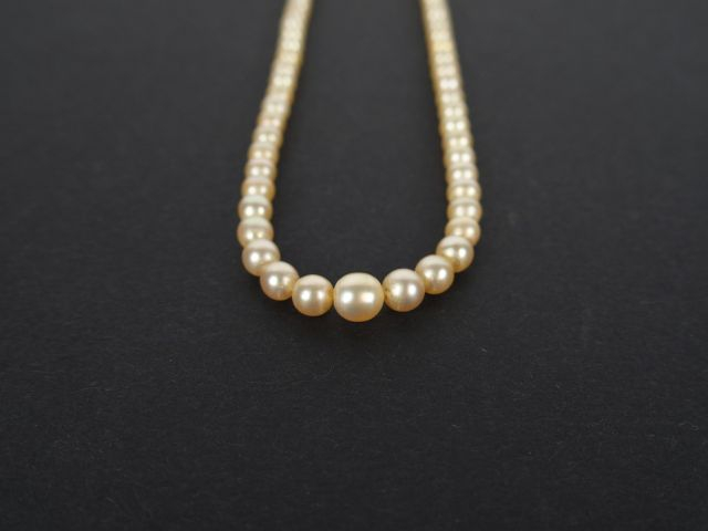 Collier de 119 perles fines diposées en chute de 2,3 mm à 5,4mm. Fermo