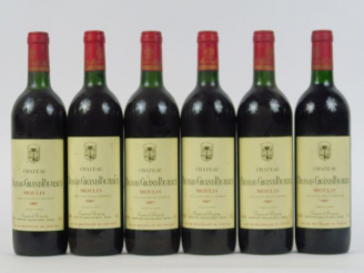 Vente aux enchères 6 BOUTEILLES CHÂTEAU BRANAS GRAND POUJEAUX MOULIS - 1987 - BG