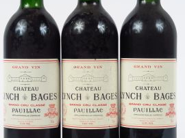 3 BOUTEILLES CHÂTEAU LYNCH BAGES GCC PAUILLAC : 2 de 1995 1 BG+ - 1 de