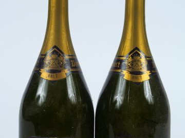 2 BOUTEILLES CHAMPAGNE DOM RUINART BLANC DE BLANCS - 1985