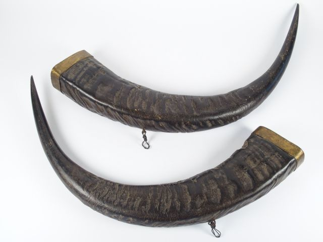 Trois cornes de buffles, dont une paire