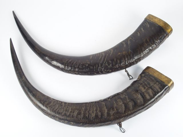 Trois cornes de buffles, dont une paire