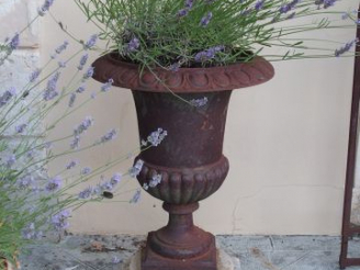 Vente aux enchères Paire de vases Médicis en fonte. H. 63 cm