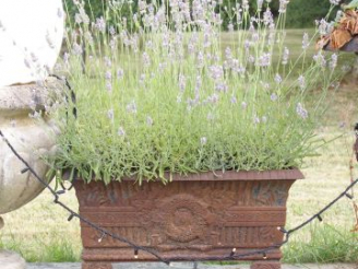 Vente aux enchères Une paire de jardinières rectangulaires en fonte à décor de feuillage 