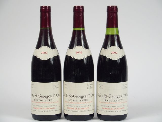 3 BOUTEILLES NUITS ST GEORGES 1er CRU 'LES POULETTES' DOMAINE DE LA PO