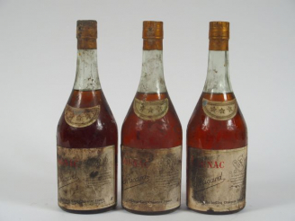 Vente aux enchères 3 BOUTEILLES COGNAC T. RICARD - BS