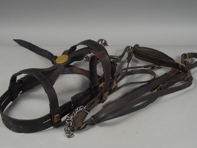 Selle et harnachement complet de cheval en cuir fauve, marquage frappé