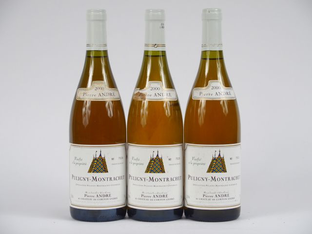 3 BOUTEILLES PULIGNY MONTRACHET P. ANDRE - 2000 - 1 COLL LA