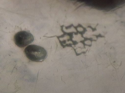 Verseuse égoïste de style Louis XV, fin XVIII ème, en argent, piètemen