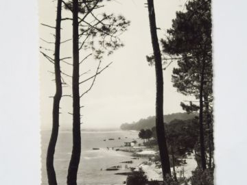 Album "Bassin d'Arcachon " comprenant environ 174 cartes postales mode