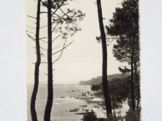 Vente aux enchères Album "Bassin d'Arcachon " comprenant environ 174 cartes postales mode