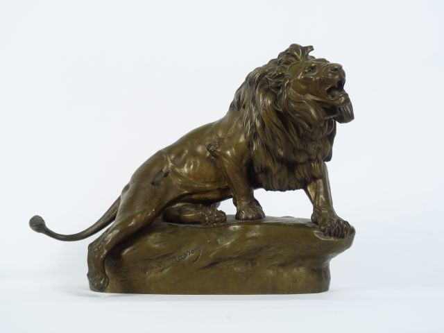 C. MASSON. "Lion blessé" Sculpture en bronze patiné.  Signée. Dim. : 3