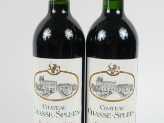 2 BOUTEILLES CHÂTEAU CHASSE SPLEEN MOULIS - 1995