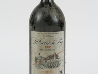1 MAGNUM CHÂTEAU LA TOUR DE BY CB MEDOC - 1995 - BS/EA/NIVEAU TOP