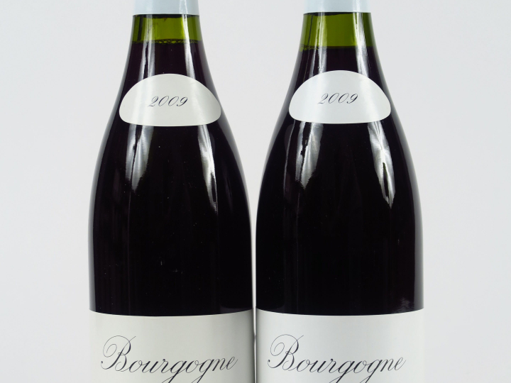 2 BOUTEILLES BOURGOGNE ROUGE LEROY - 2009