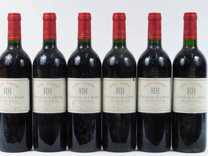 6 BOUTEILLES CHÂTEAU LA HAYE CB ST ESTEPHE - 1995