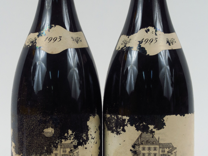 2 MAGNUMS POMMARD POUTURES 1er CRU VAUDOISEY CREUSEFOND - 1993 - 0,5 C
