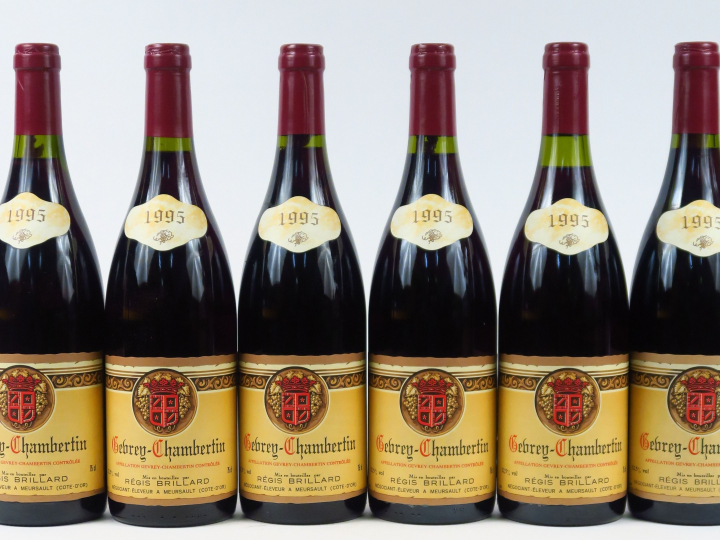 6 BOUTEILLES GEVREY CHAMBERTIN R. BRILLARD - 1995