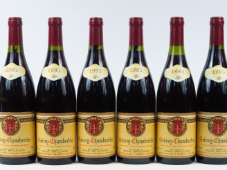 Vente aux enchères 6 BOUTEILLES GEVREY CHAMBERTIN R. BRILLARD - 1995