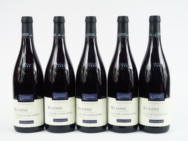 5 BOUTEILLES BEAUNE 'CLOS DE LA MALADIERE' DOMAINE CAUVARD - 2009