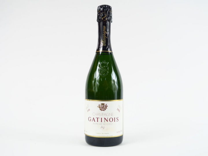 1 BOUTEILLE CHAMPAGNE GATINOIS - 1996
