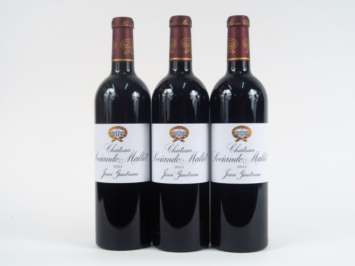 3 BOUTEILLES CHÂTEAU SOCIANDO MALLET HAUT MEDOC - 2011