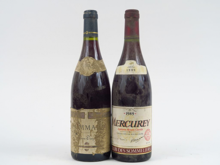 2 BOUTEILLES BOURGOGNE : 1 POMMARD P. DENIZOT 1995 ES - 1 MERCUREY CLU