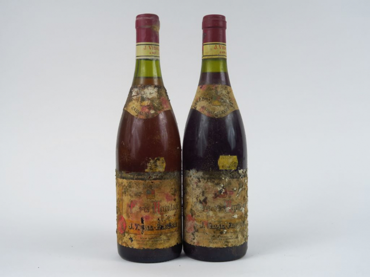 2 BOUTEILLES CROZES HERMITAGE J. VIDAL FLEURY - 1988 - 2 CM/ETA