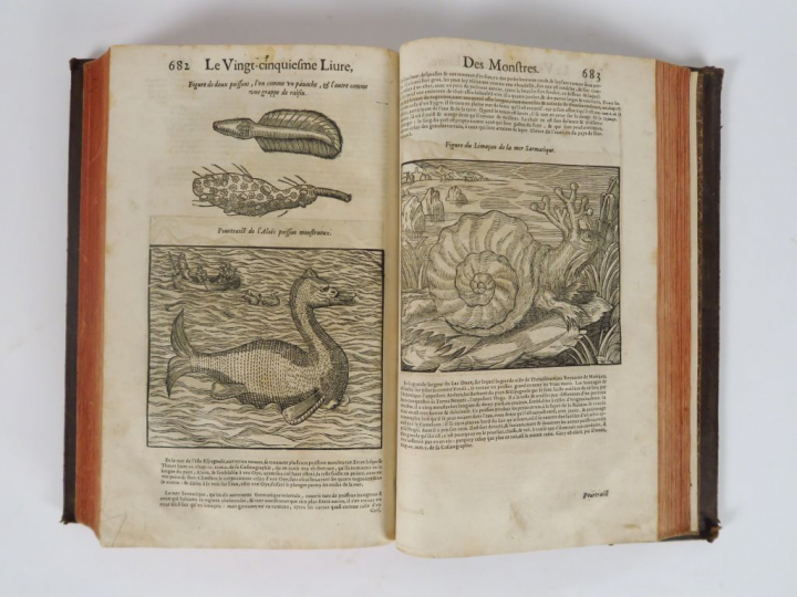 PARE (Ambroise). Les Œuvres, Avec les voyages qu'il a fait en divers l