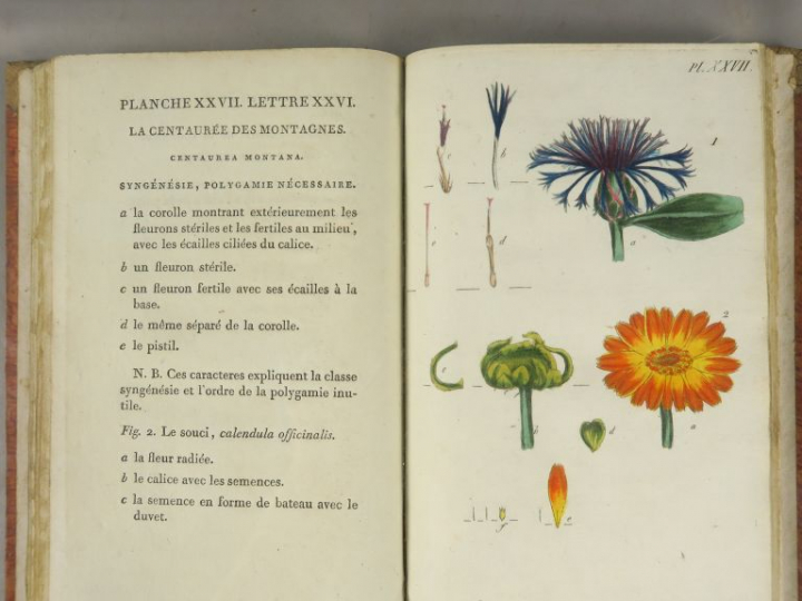 [ROUSSEAU]. Recueil de plantes coloriées pour servir à l'intelligence 