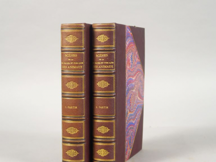 GRANDVILLE. Scènes de la vie privée et publique des animaux. Etudes de