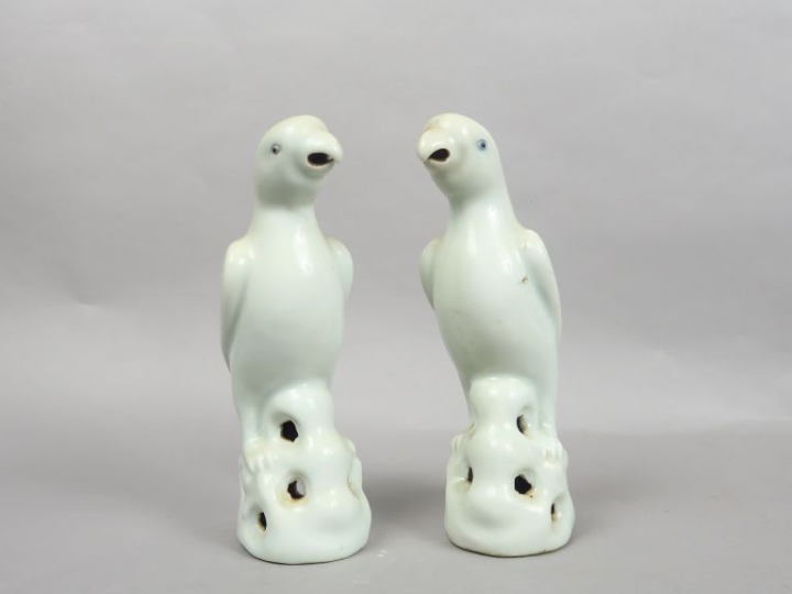 Couple de perruches en porcelaine blanc de Chine. Chine, XIXème siècle