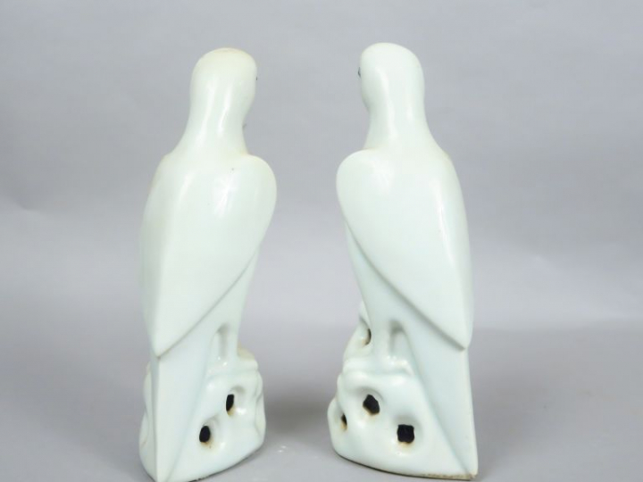 Couple de perruches en porcelaine blanc de Chine. Chine, XIXème siècle