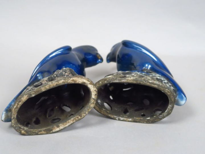 Couple de perruches en céramique émaillée bleue. Chine, XIXème siècle.