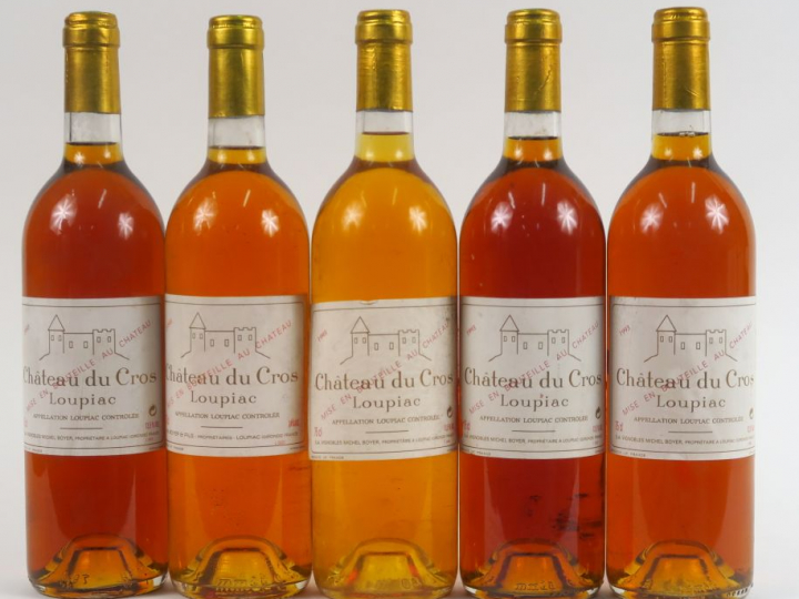 5 BOUTEILLES CHÂTEAU DU CROS LOUPIAC : 1 de 1990 - 1 de 1993