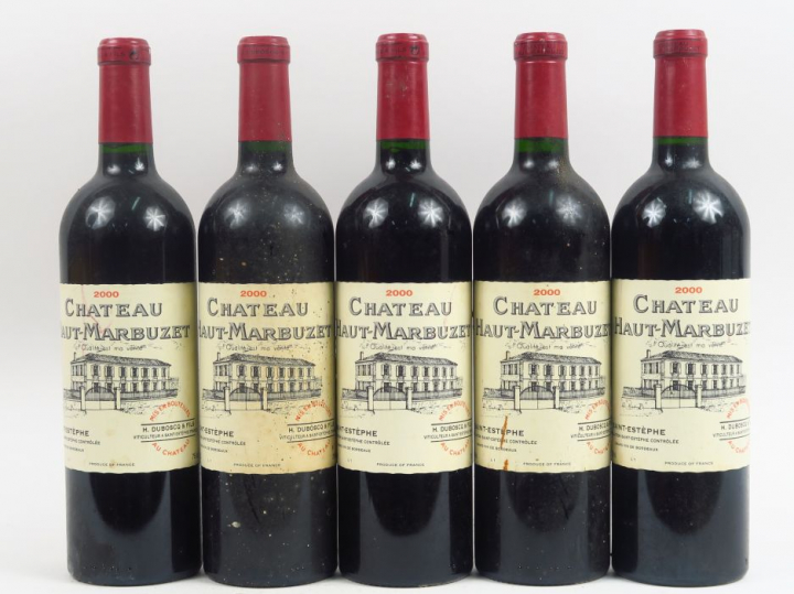 5 BOUTEILLES CHÂTEAU HAUT MARBUZET ST ESTEPHE - 2000