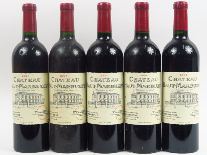 5 BOUTEILLES CHÂTEAU HAUT MARBUZET ST ESTEPHE - 2004