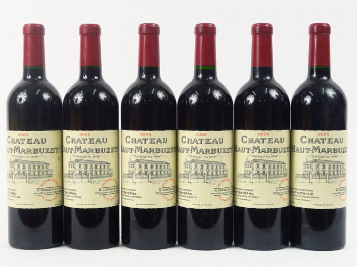 6 BOUTEILLES CHÂTEAU HAUT MARBUZET ST ESTEPHE - 2005