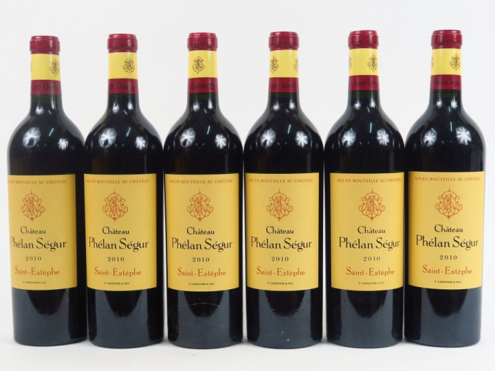 6 BOUTEILLES CHÂTEAU PHELAN SEGUR ST ESTEPHE - 2010