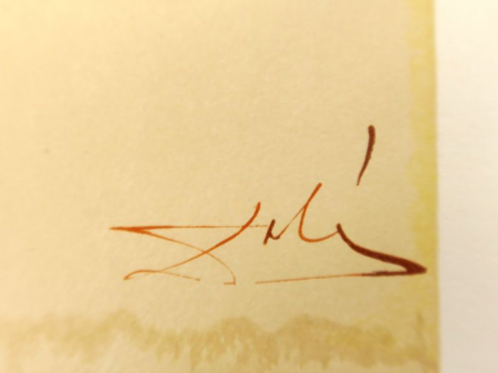 DALI (d'après). Suite de  huit lithographies.