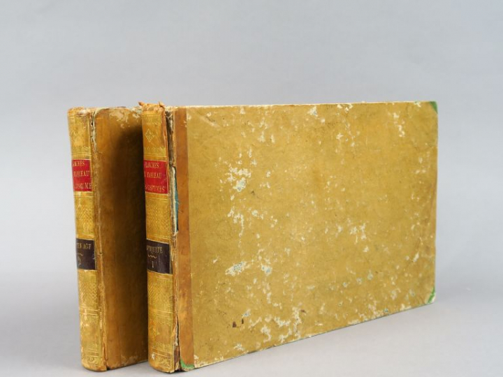 [SPALART, Robert Von]. Planches du tableau historique des costumes, de