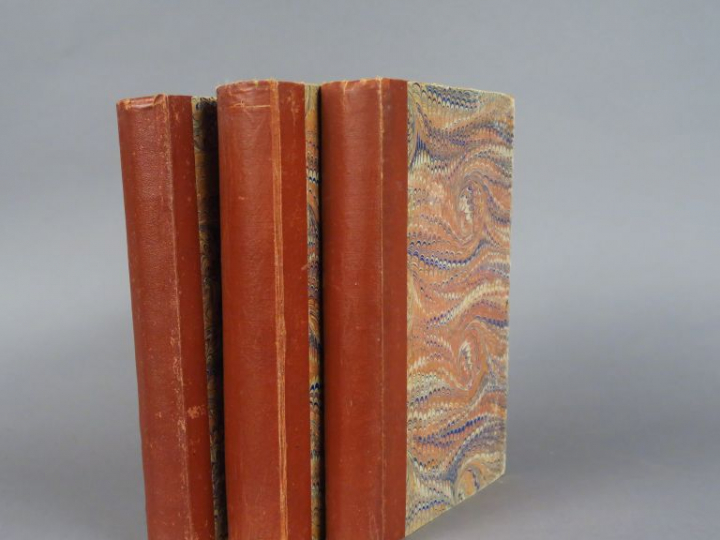 D'ORBIGNY (Charles). Dictionnaire universel d'Histoire Naturelle. Deux