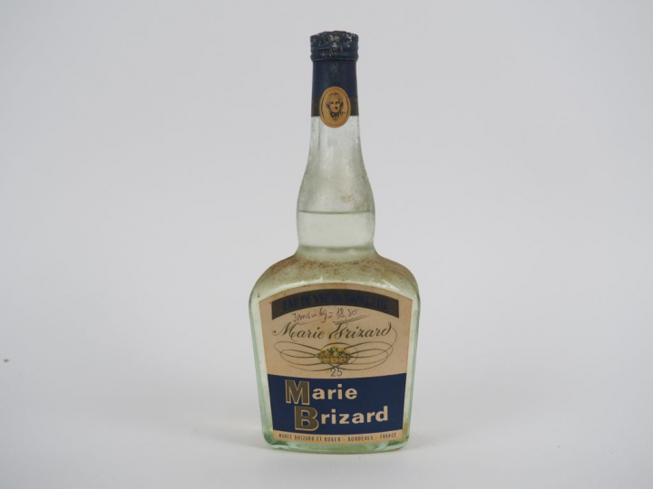 1 BOUTEILLE EAU DE VIE DE DANTZIG MARIE BRIZARD + DE 50 ANS