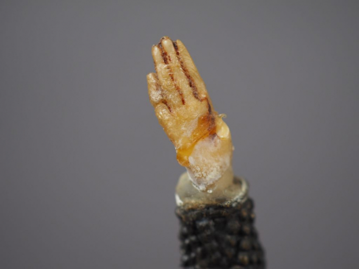 D. H. CHIPARUS. "Danseuse". Sculpture chryséléphantine sur un scole en