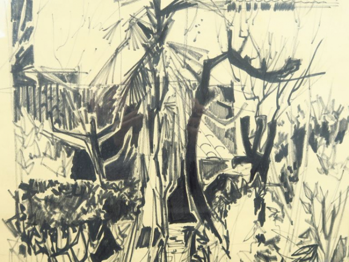 C. SCHMIDT. "Jardin exotique".  Dessin, signé en bas à gauche. Dim. : 