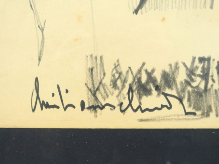 C. SCHMIDT. "Jardin exotique".  Dessin, signé en bas à gauche. Dim. : 